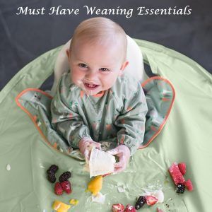 weaning essentials