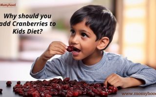 dried cranberries for kids