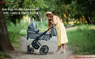 Baby Stroller Under 3000