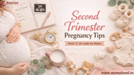 second trimester